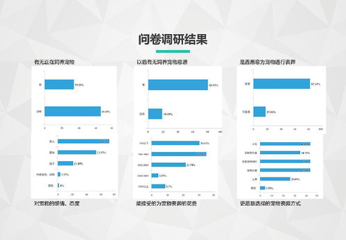 爱与告别 构建人文关怀与生态友好的宠物丧葬服务体系